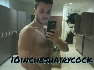 10incheshairycock