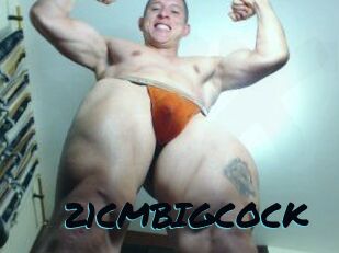 21CMBIGCOCK