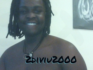 2diviu2000