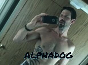 ALPHADOG