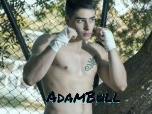 AdamBull
