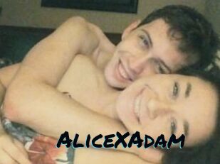 Alice_X_Adam
