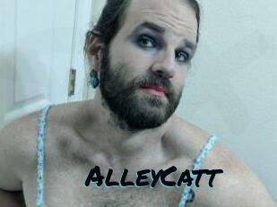AlleyCatt