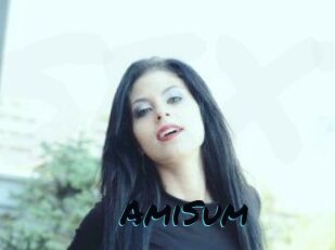 AmiSum