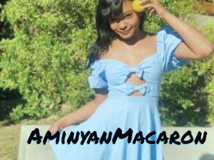 AminyanMacaron