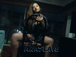 AnaSlave