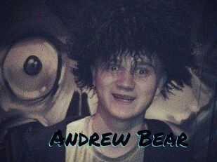 Andrew_Bear