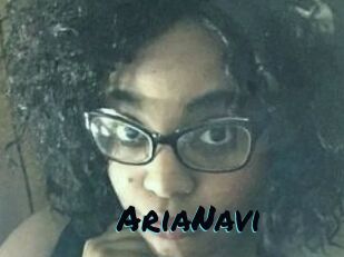 AriaNavi