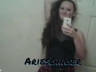 AriesGinger
