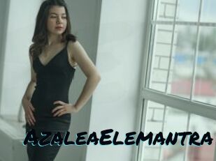 AzaleaElemantra