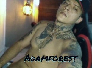 Adamforest