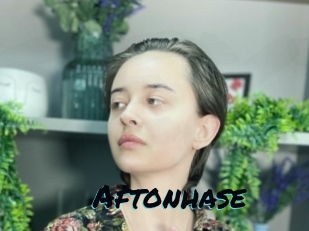 Aftonhase