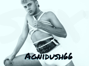 Agnidush66