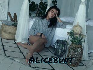 Alicebunt