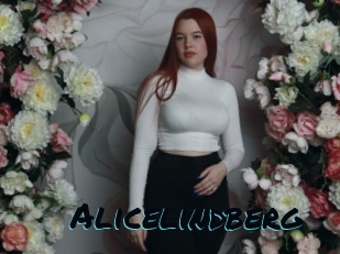 Alicelindberg