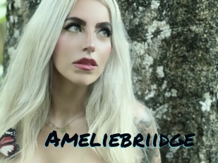 Ameliebriidge
