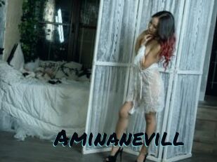 Aminanevill