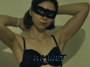 Aminet