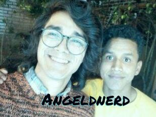Angeldnerd