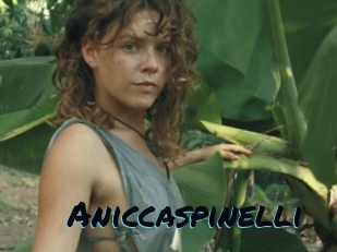 Aniccaspinelli