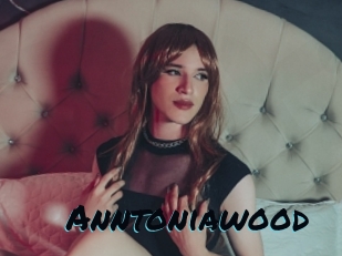 anntoniawood Sexties