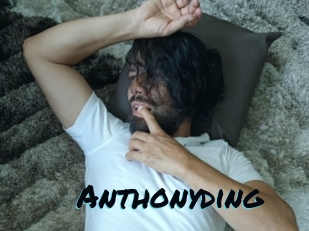 anthonyding Sexties