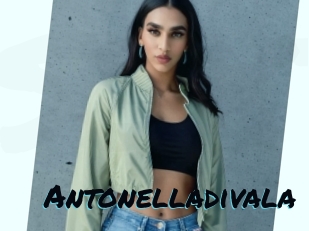 Antonelladivala