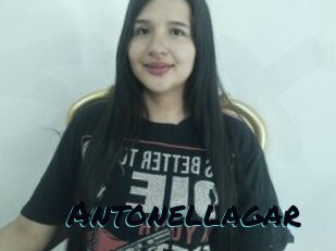Antonellagar