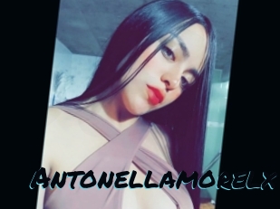 Antonellamorelx