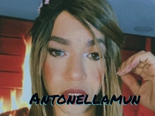 Antonellamun