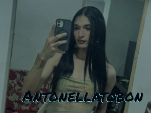 Antonellatobon