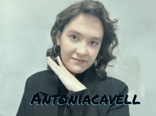 Antoniacavell