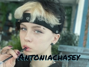 Antoniachasey