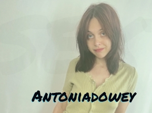 Antoniadowey