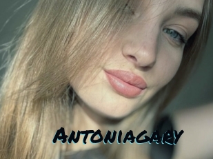 Antoniagary