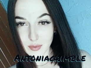 Antoniagrimble