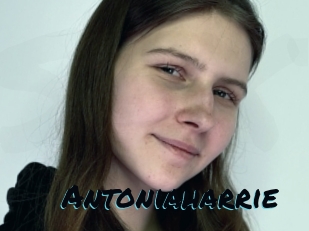 Antoniaharrie
