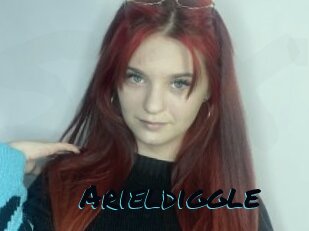 Arieldiggle