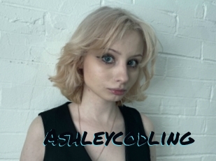 Ashleycodling