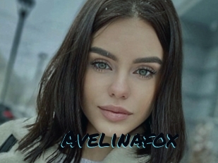 Avelinafox