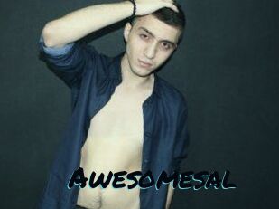 Awesomesal
