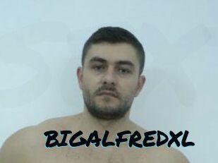 BIGALFREDXL