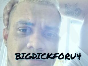 BIGDICKFORU4