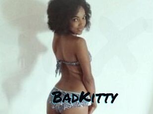Bad_Kitty_