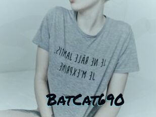 BatCat690