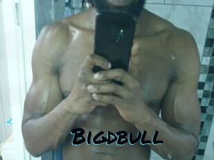 Bigdbull
