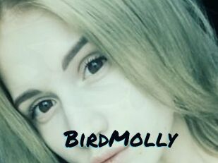 BirdMolly