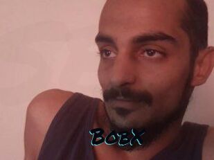 BobX