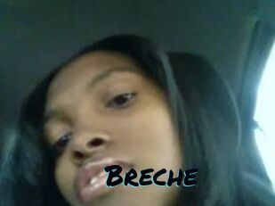 Breche