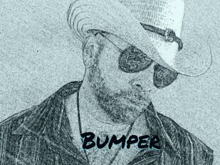 Bumper
